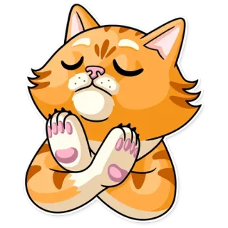🙅‍♂️ gato, fofo, animal, gatinho, gato malhado laranja, meditação, pacífico, relaxado telegram sticker