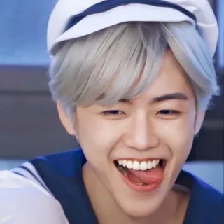🧺 whatsapp sticker