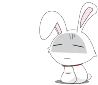 😑 lapin, lapinou, dessin animé, animal, mignon, autocollant whatsapp sticker