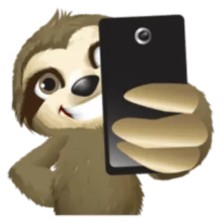 📸 bicho-preguiça, animal, selfie, telefone, fofo, lento, desenho animado whatsapp sticker