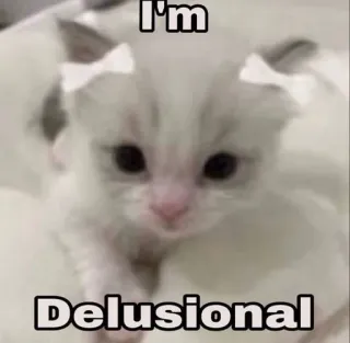 😍 I'm Delusional telegram sticker