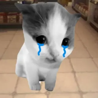 😭 猫, 哭泣, 悲伤, 小猫, 动物, 眼泪 telegram sticker