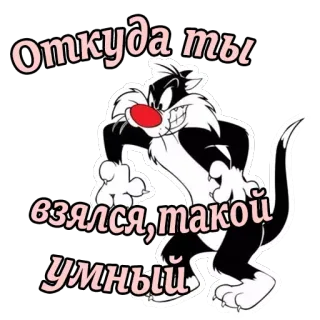 😠 Sylvester Looney Tunes Откуда ты взялся, такой умный kot, kreskówka, rosyjski, Sylwester, Looney Tunes telegram sticker