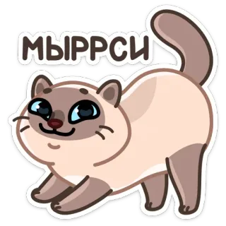 ☺️ МЫРРСИ кот, милый, животное, сиамский, наклейка, смешной telegram sticker