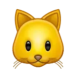 🐱