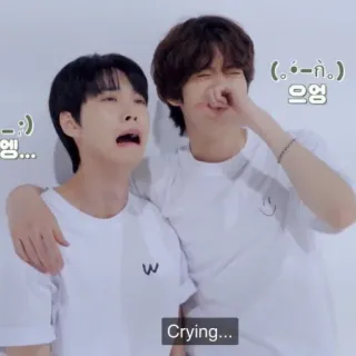 ☺️ Crying... pleurer, triste, émotion, kpop telegram sticker
