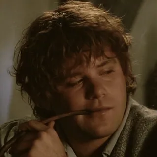 💍 Samwise Gamgee The Lord of the Rings Samwise Gamgee, O Senhor dos Anéis, Hobbit, Cachimbo, Fantasia, Filme, Personagem whatsapp sticker