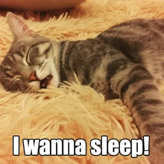 💤 I wanna sleep! gato, dormir, animal, cansado, meme telegram sticker