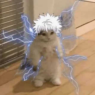 🐈 Killua Zoldyck Hunter x Hunter gato, anime, Killua Zoldyck, Hunter x Hunter, raio, engraçado telegram sticker