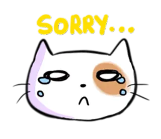 😥 SORRY... chat, désolé, excuses, mignon, triste, pleurer telegram sticker