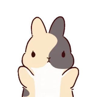 ๐ช bunny telegram sticker