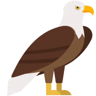 😀 орел, птица, животное, дикая природа, природа, иллюстрация, наклейка telegram sticker