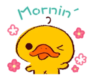 🌞 Mornin' Dibujos animados, Pato, Mañana, Lindo, Saludo, Flores telegram sticker