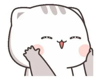 🧉 cat, cute, animal, sticker, cartoon telegram sticker