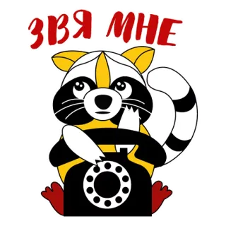 😂 ЗВЯ МНЕ rakun, binatang, telepon, panggilan, imut, ilustrasi telegram sticker