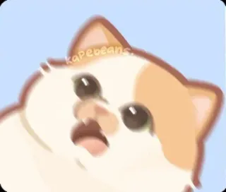 🐾 kapebeans 猫, ミーム, かわいい, 面白い, 動物 telegram sticker