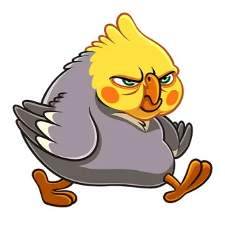 😡 pássaro, calopsita, animal, desenho animado, adesivo telegram sticker