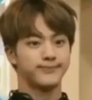 🙂 Jin จิน, BTS, K-pop, มีม, ตลก, ไอดอล, นักร้อง, คนดัง telegram sticker