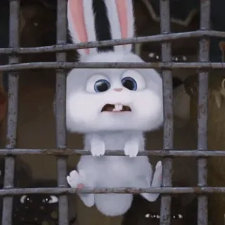🐰 Snowball The Secret Life of Pets Hase, Häschen, Tier, Cartoon, Haustier telegram sticker