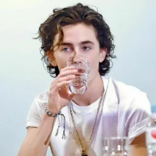 🦇 Timothée Chalamet Timothée Chalamet, actor, celebridad, retrato, hombre, bebiendo telegram sticker