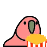 🦜 parrot, bird, popcorn, watching, cute, animal, snack telegram sticker