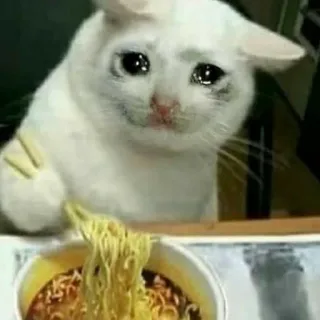 😭 traurige Katze, weinende Katze, Nudeln, Ramen, Meme, Internet-Meme, Essen whatsapp sticker