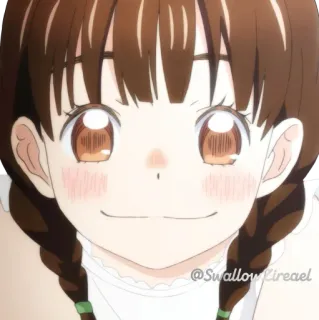 🙂 @Swallow_Cireael gái anime, dễ thương, chân dung, hoạt hình, cười, tóc bện telegram sticker