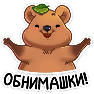 🤗 ОБНИМАШКИ! Bär, Cartoon, Gruß, niedlich, Umarmung, freundlich whatsapp sticker