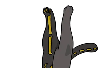 🦵 猫, 搞笑, 动物, 倒过来, 骷髅 telegram sticker