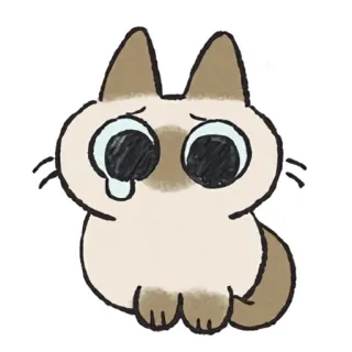 😢 cat, sad, crying, kawaii, cute, animal, kitten telegram sticker