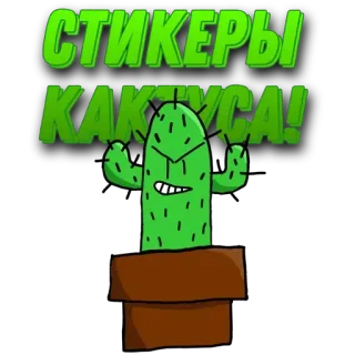 🌟 СТИКЕРЫ КАКТУСА! Kaktus, Aufkleber, Pflanze, Cartoon telegram sticker