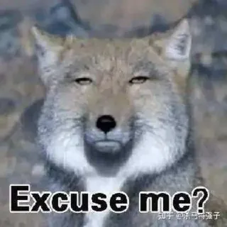 😒 Excuse me? binatang, rubah, meme, permisi, lucu, sarkastik, pertanyaan telegram sticker