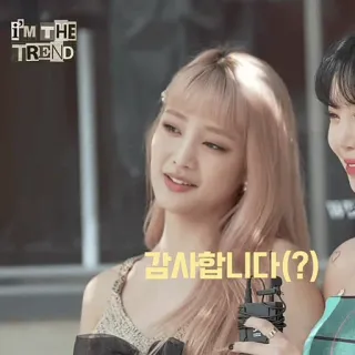 🌸 감사합니다(?) mujer, coreana, sonrisa, persona, ídolo, K-pop telegram sticker