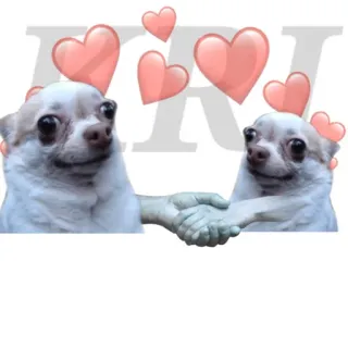 🤝 chihuahua, dog, hearts, handshake, cute, animals, pets telegram sticker