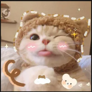 ✨ 猫, 贴纸, 可爱, 动物, 卡哇伊, 宠物, 小猫 telegram sticker