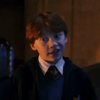 🦁 Ron Weasley Harry Potter ハリーポッター, ロン・ウィーズリー, 魔法使い, 魔法, グリフィンドール, 友達, ハリーポッター キャラクター telegram sticker