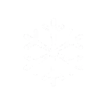 ❄️