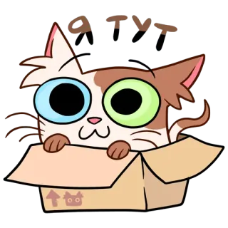 🤭 ATVT chat, boîte, dessin animé, animal, mignon whatsapp sticker