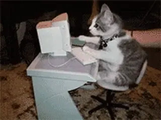 🐾 Katze, Computer, Tippen, Internet, Lustig, Tier whatsapp sticker