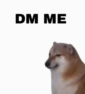Cheems// @doge69 // @ZoldyckStickers telegram stickers