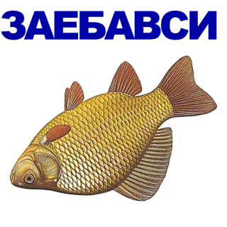 🐠 poisson, animal, or, nature whatsapp sticker