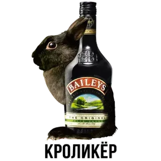 🐰 КРОЛИКЁР coniglio, liquore, coniglietto, alcol, bevanda telegram sticker