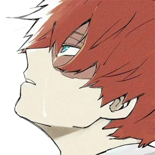 😒 Shoto Todoroki My Hero Academia Anime, Manga, Shoto Todoroki, My Hero Academia telegram sticker