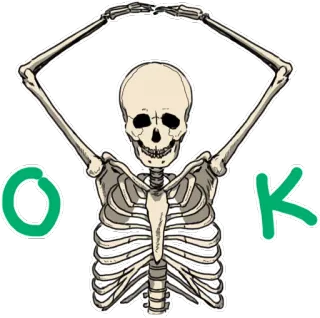 👍 OK โครงกระดูก, โอเค, ท่าทาง, กระดูก telegram sticker