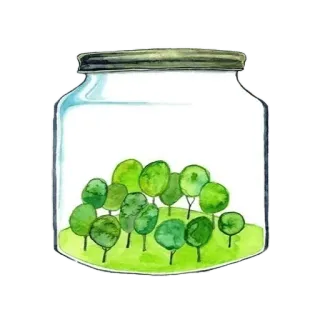 ☹️ 树, 罐, 绿色, 自然, 水彩, 森林 telegram sticker