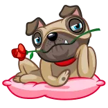 💐 мопс, собака, роза, животное, романтический, мультфильм, милый telegram sticker
