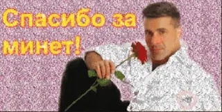 🌹 Спасибо за минет! whatsapp sticker