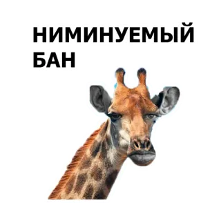 📲 НИМИНУЕМЫЙ БАН giraffe, animal, ban, russian, zoo telegram sticker