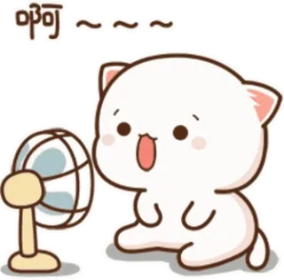 🥵 啊~~~~~~ 고양이, 귀여운, 팬, 카와이, 열기, 여름 whatsapp sticker
