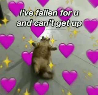 🍬 i've fallen for u and can't get up cat, hearts, love, meme, funny, sticker whatsapp sticker